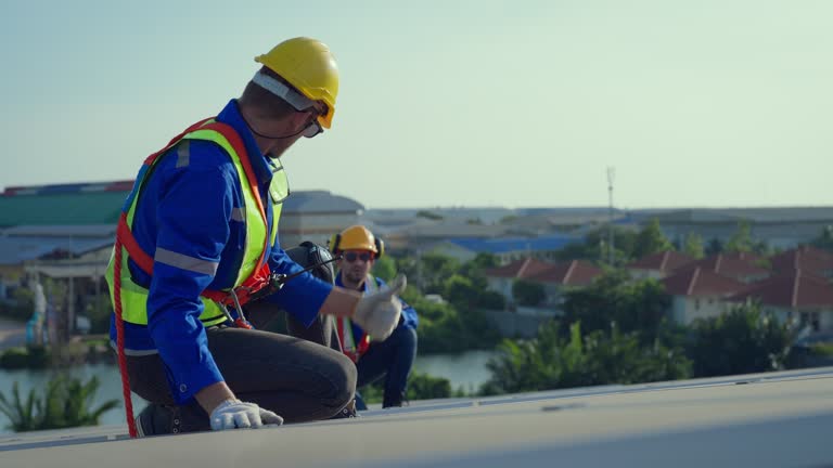 Best Asphalt Shingles Roofing  in Pelion, SC