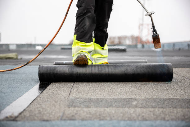 Best Roof Maintenance and Cleaning  in Pelion, SC