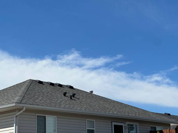 Best Steel Roofing  in Pelion, SC